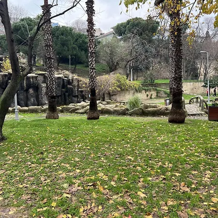 Apartment Park View